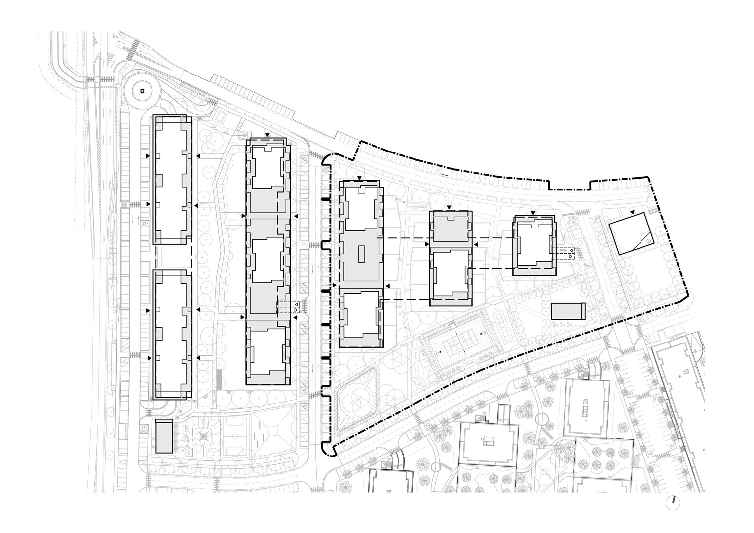 Slnečnice C3