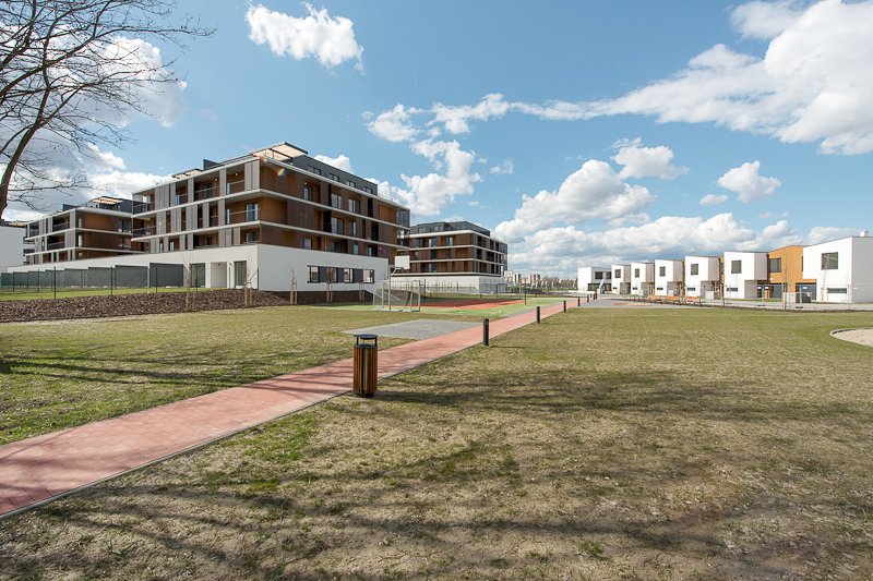 Slnečnice C1