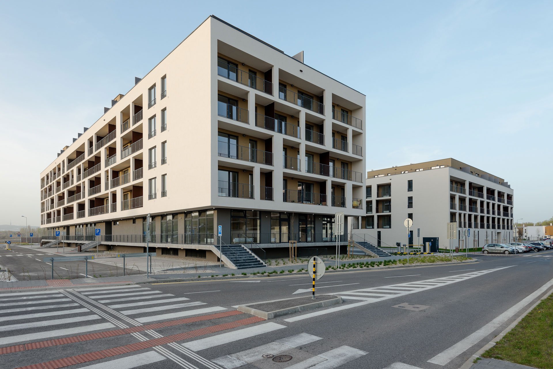 Slnečnice C2