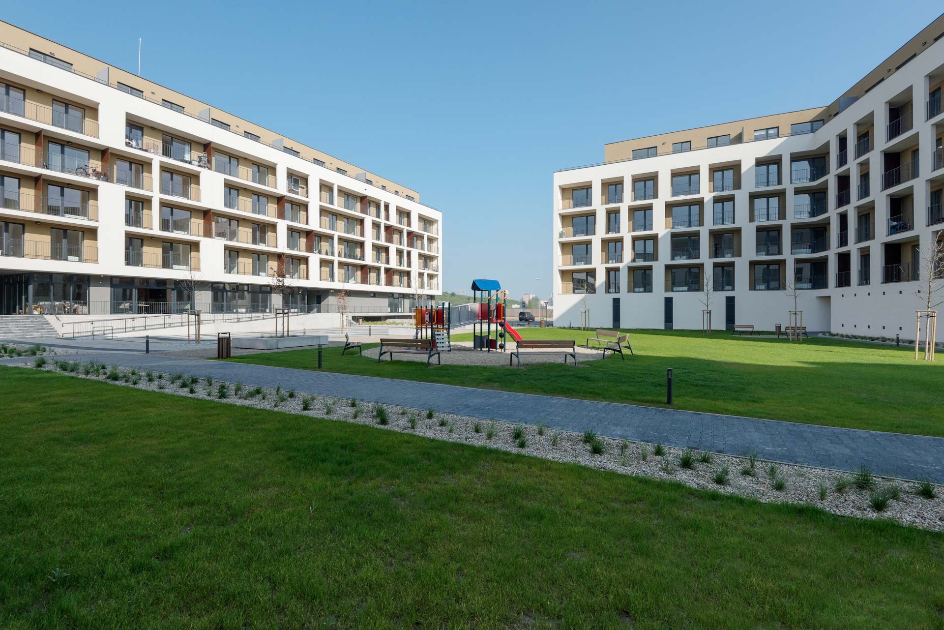 Slnečnice C2
