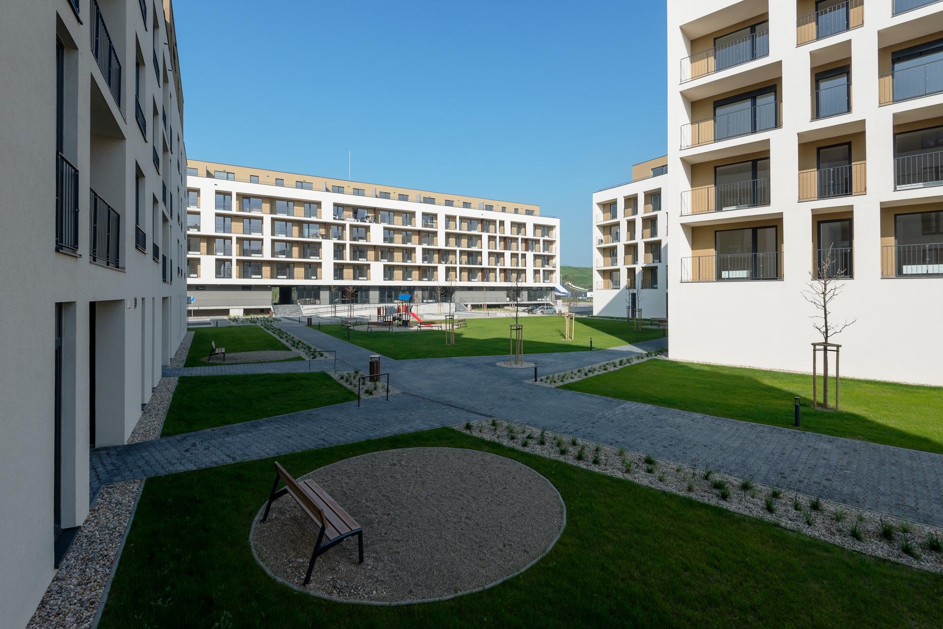 Slnečnice C2