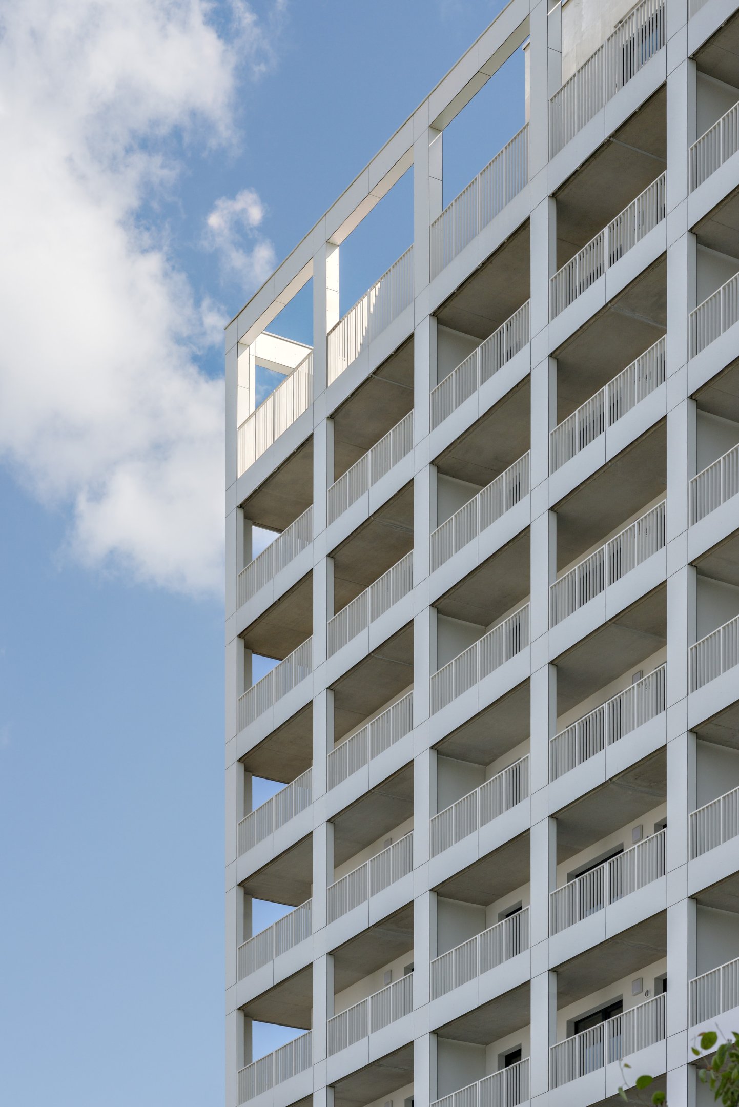 Urban Residence