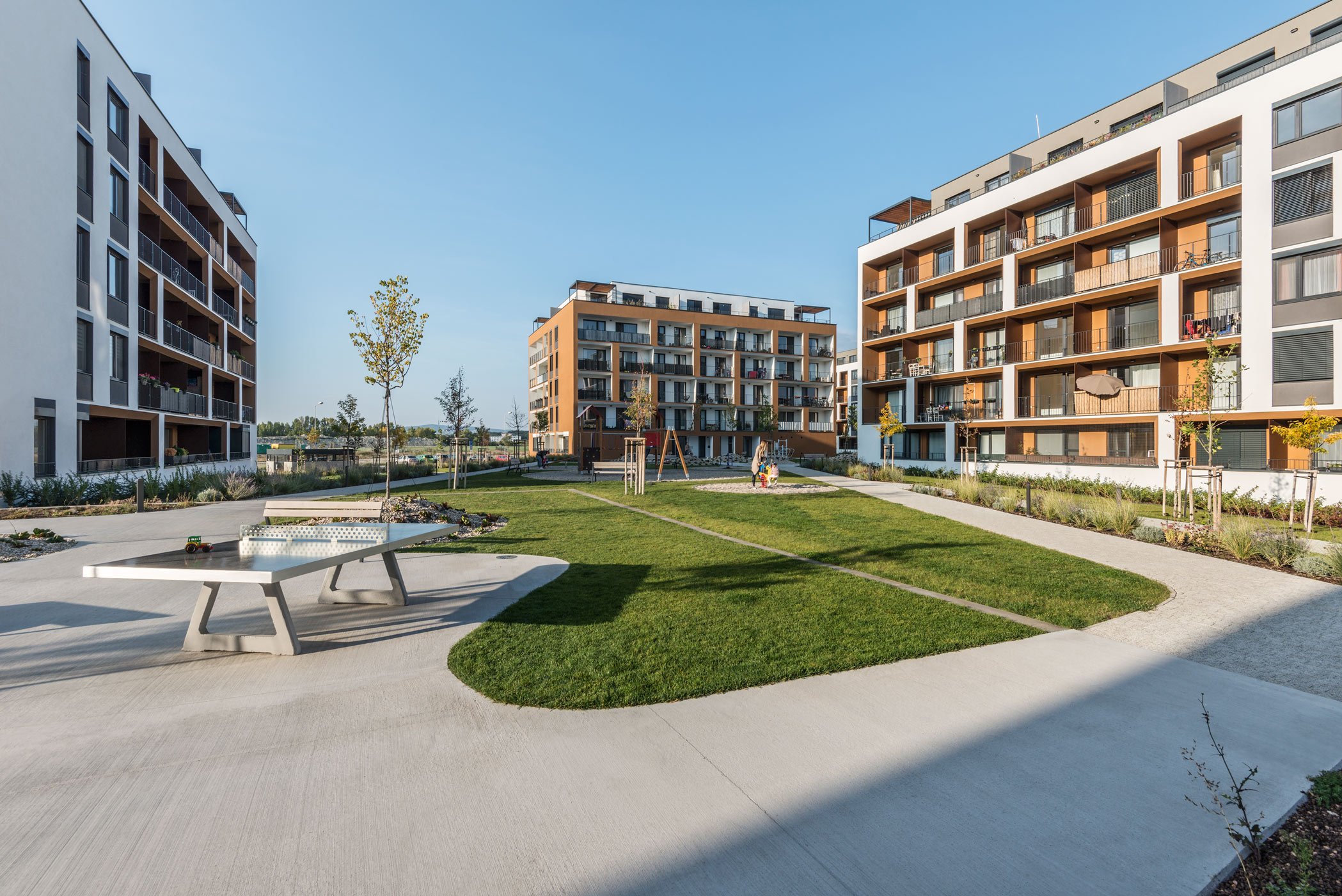 Slnečnice C2