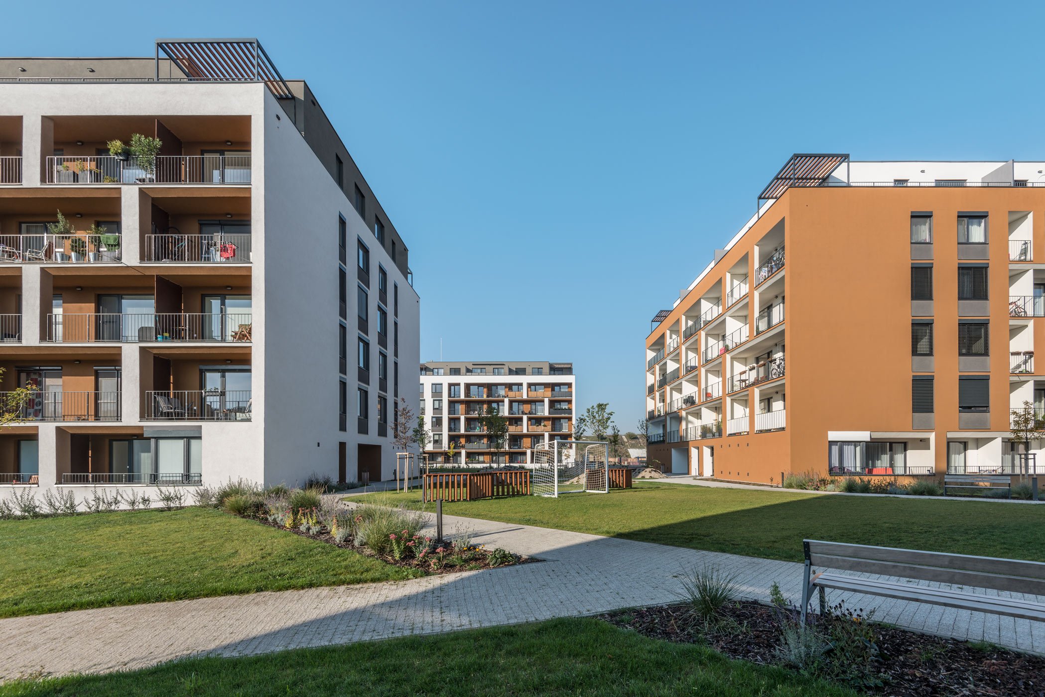 Slnečnice C2